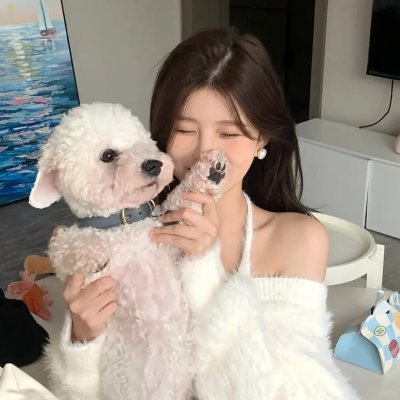 情挑淑女心 封面