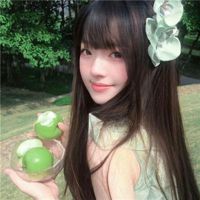香山叶正红 封面
